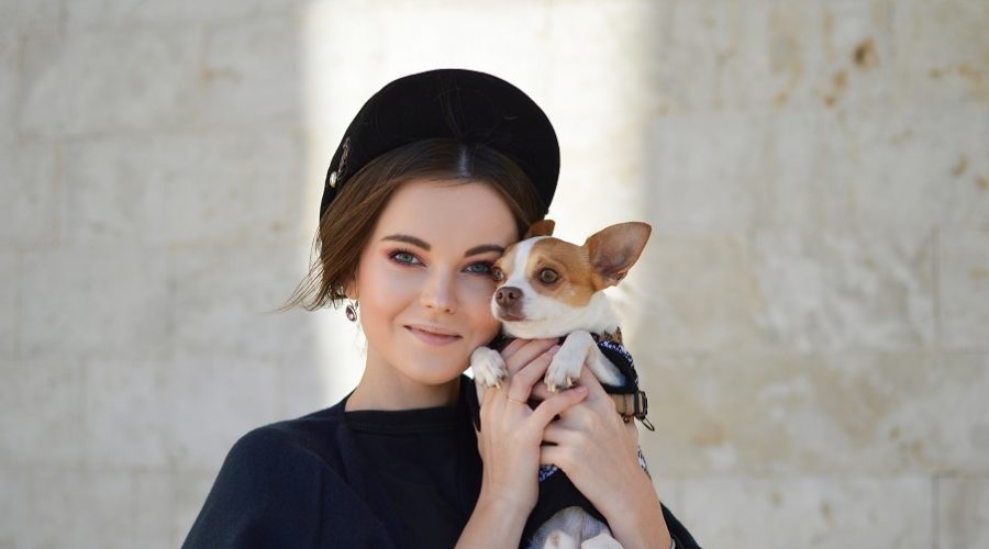 10 Tips for Travelling With Your Pet